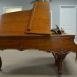 1905 Steinway Louis XV model B grand piano - Grand Pianos